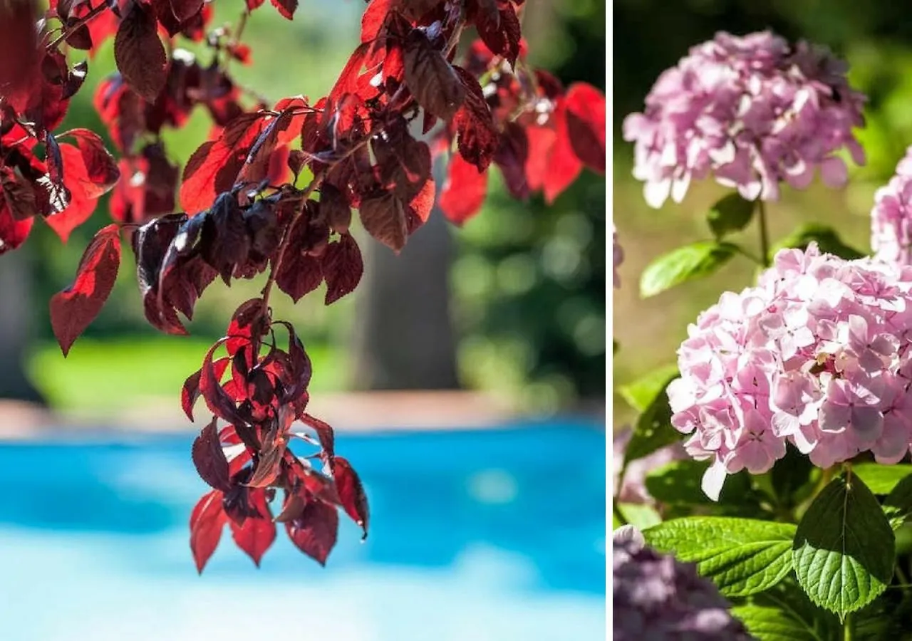 Country house Le Rocche Agriturismo Guest House San Piero Patti Italy