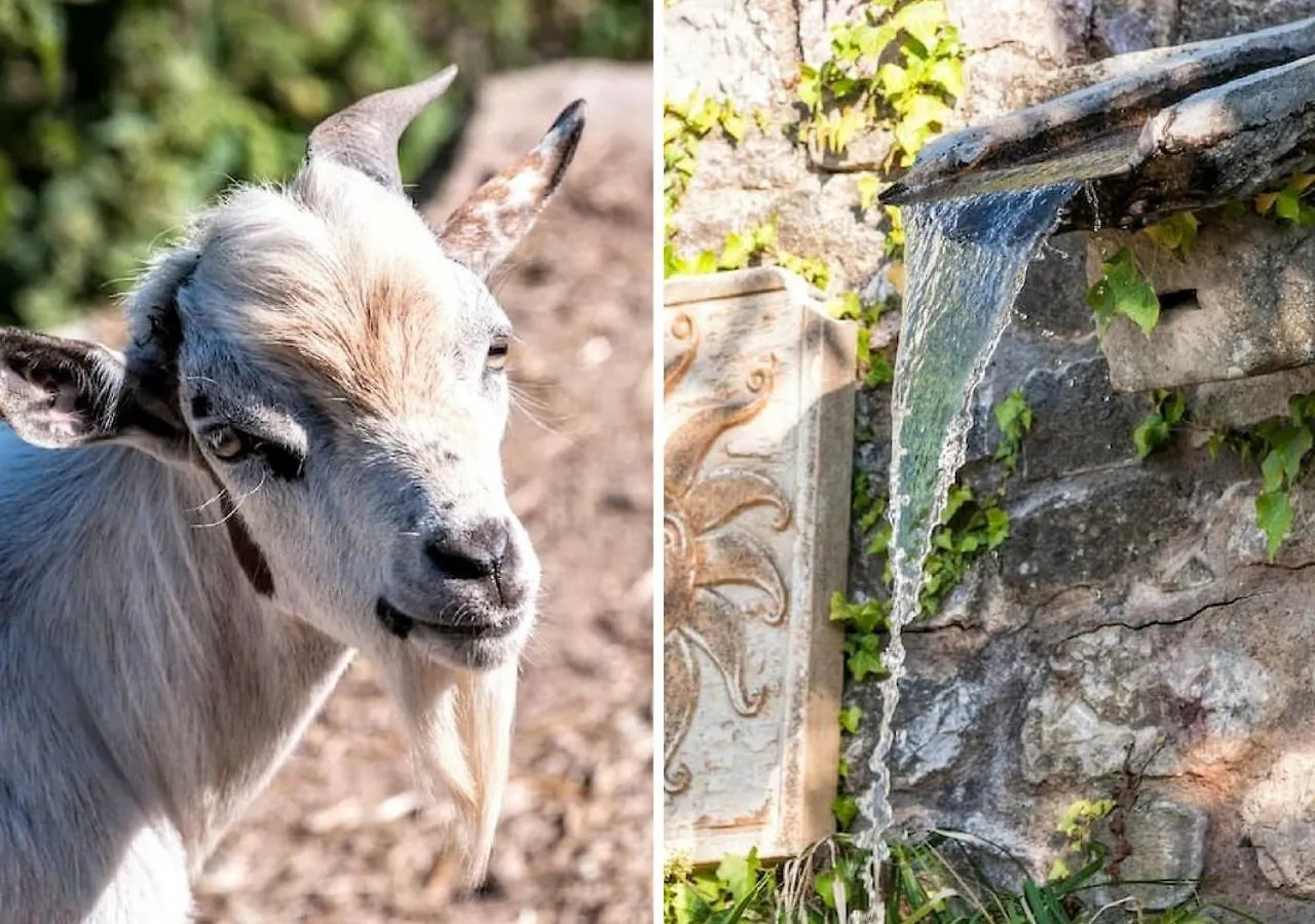 Country house Le Rocche Agriturismo Guest House San Piero Patti